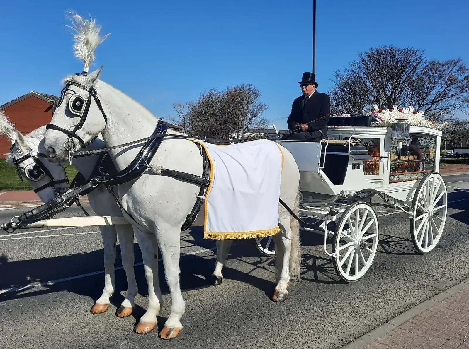 A white pair drawing the glass carriage, with the driver in a top hat